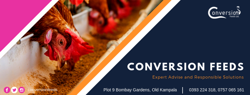 Conversion Feeds (U) Limited