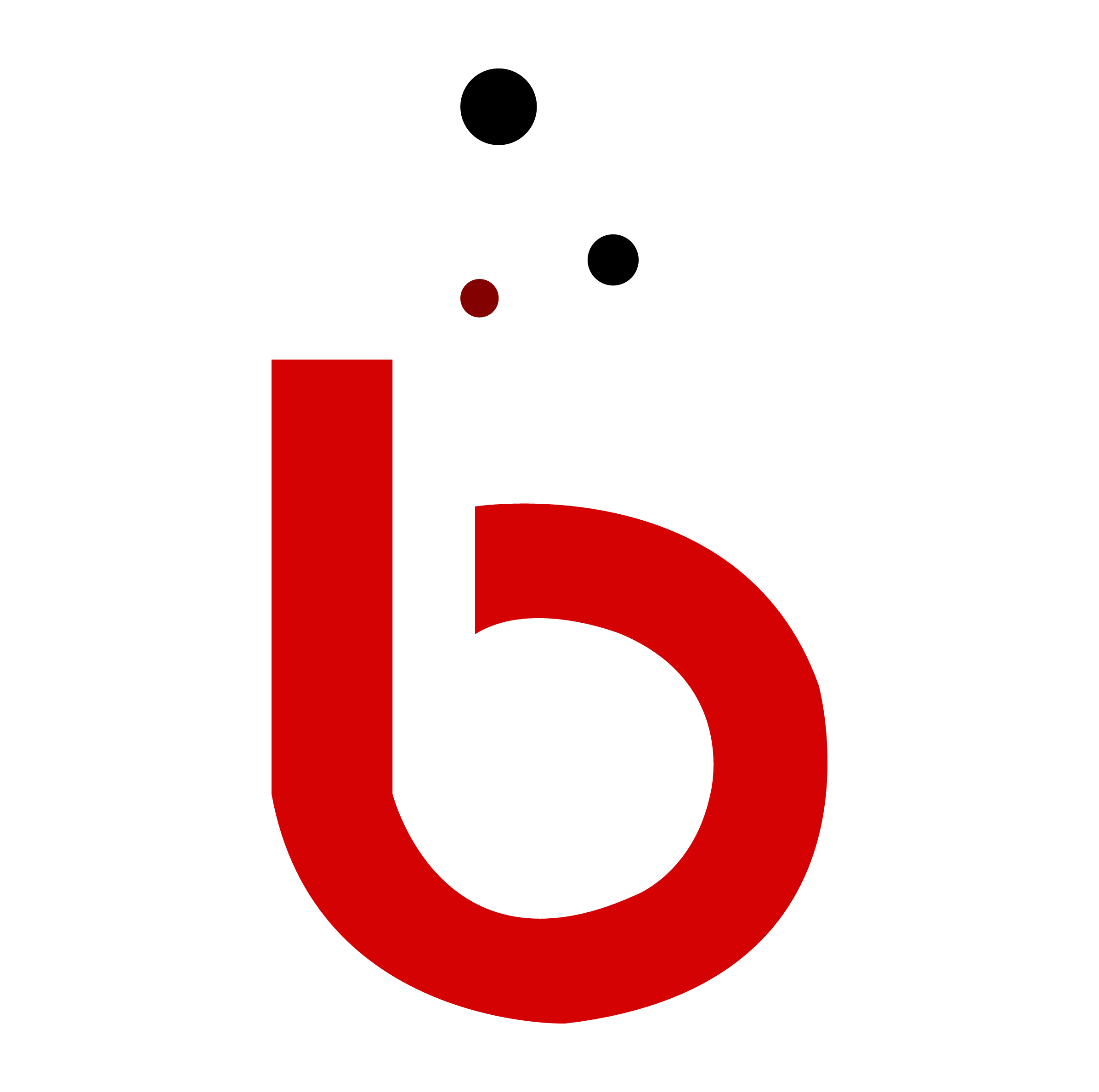 Birason Investment