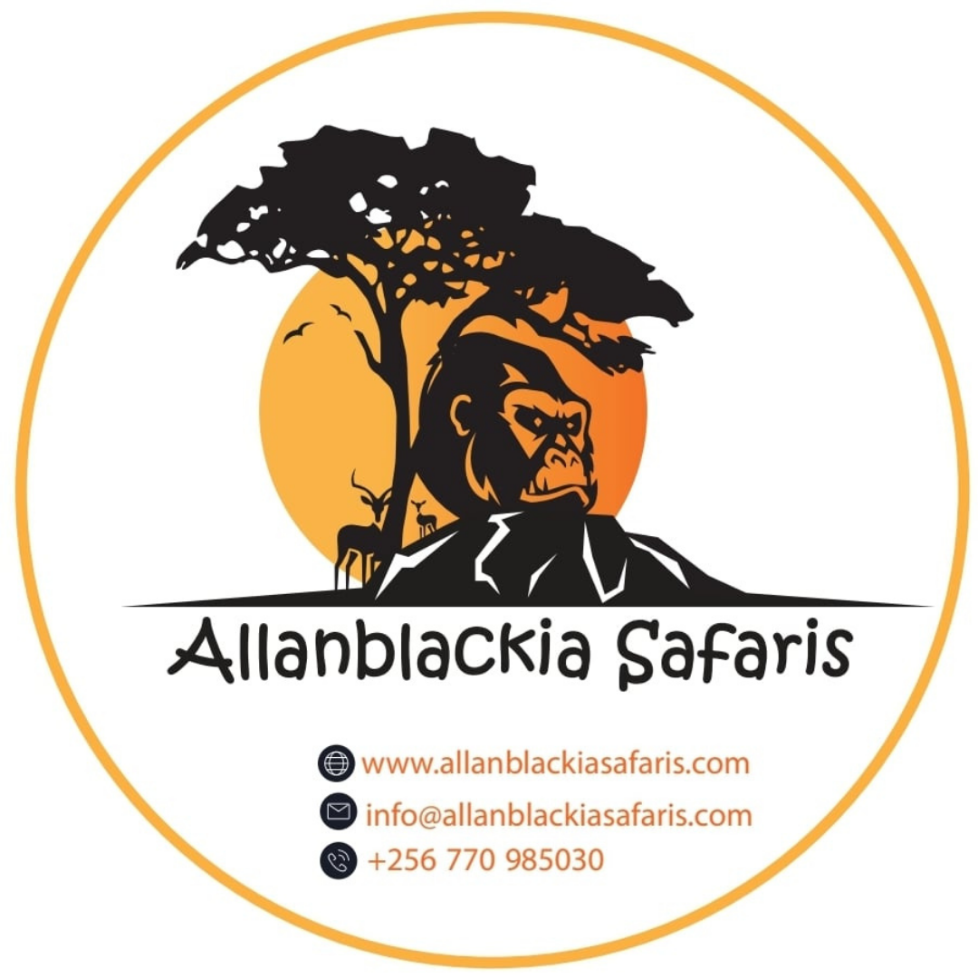 Allanblackia Safaris