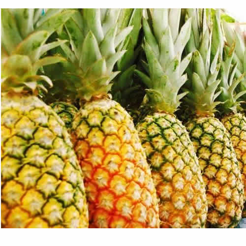 Fresh Pineapple